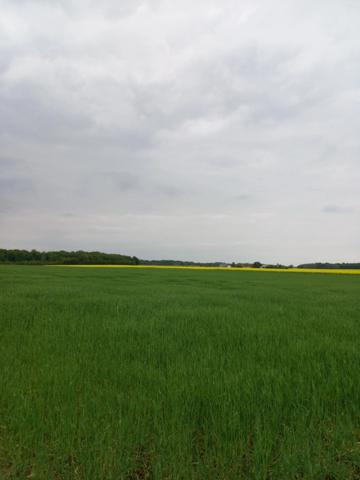 Terrain à vendre de 2 924,00 m² Proche de COURTEMAUX (45)