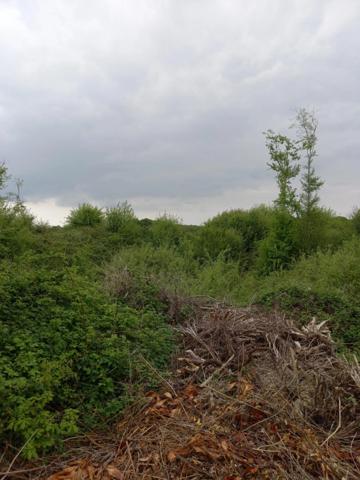 Terrain à vendre de 2 924,00 m² Proche de COURTEMAUX (45)