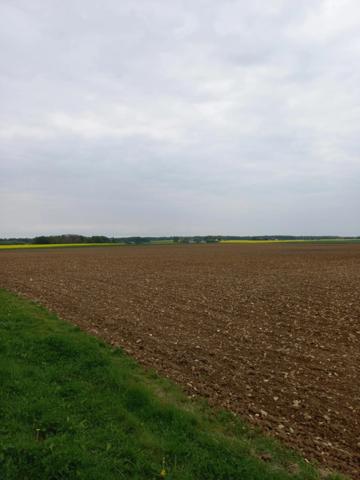 Terrain à vendre de 2 924,00 m² Proche de COURTEMAUX (45)
