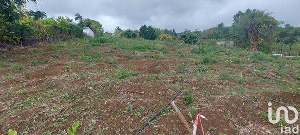 Terrain à vendre 400 m² Saint-Paul