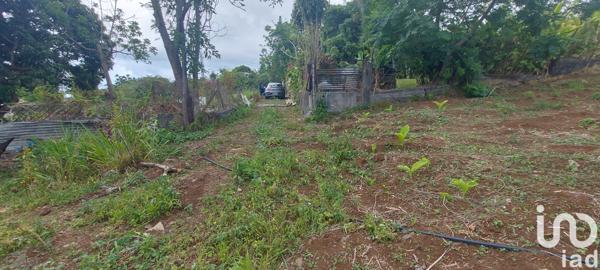 Terrain à vendre 400 m² Saint-Paul