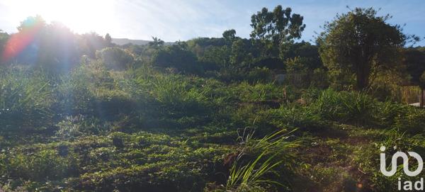 Terrain à vendre 400 m² Saint-Paul