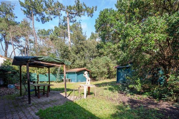 Maison à vendre à Lège-Cap-Ferret en Gironde (33950), ref : 015/778   
L'Herbe