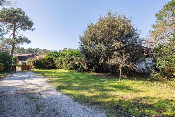 Maison à vendre à Lège-Cap-Ferret en Gironde (33950), ref : 015/778   
L'Herbe