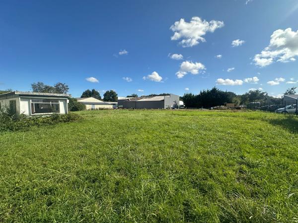 Terrain professionnel à Nozay 1800 m2