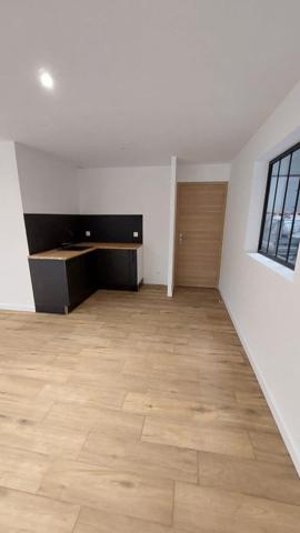 A LOUER TRES BEAU Local d'activité NEUF 227 m² - Vigneux Billiais Deniaud