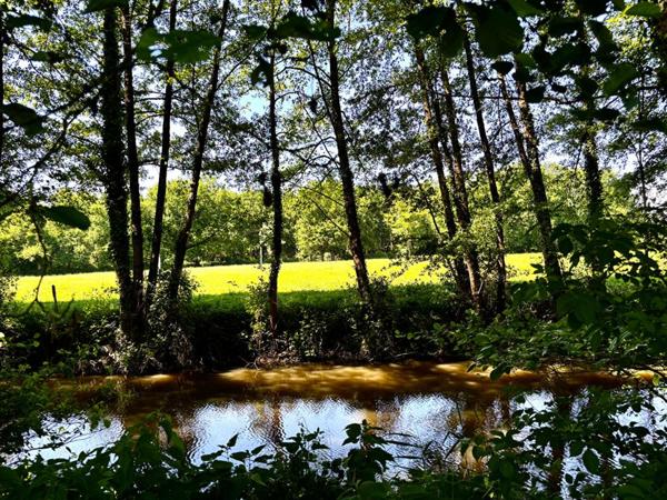 Moulin 12 pièce(s) 401 m2