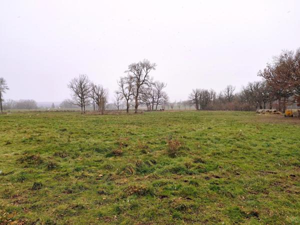 terrain d' environ 36 700 m²