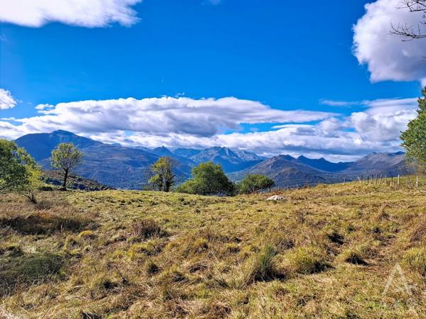 Achat vente Grange Saint Pastous