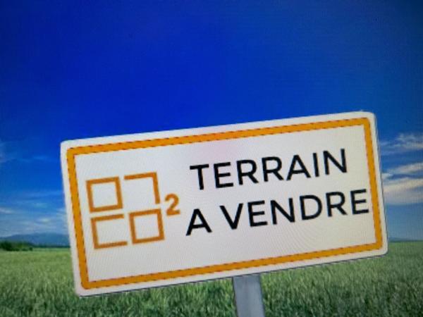 Terrain
        
        - 19865 m²