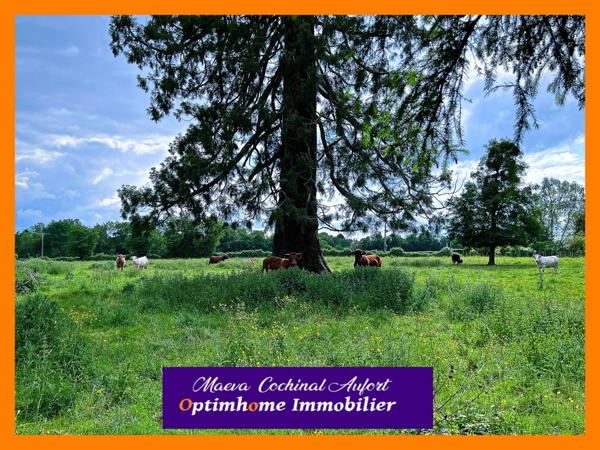 Domaine à 25 min de Verneuil d'Avre et d'Iton