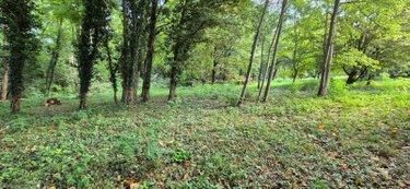 Terrain de loisirs à vendre à Bonnétable dans la Sarthe (72110), ref : 13808/691 campagne
