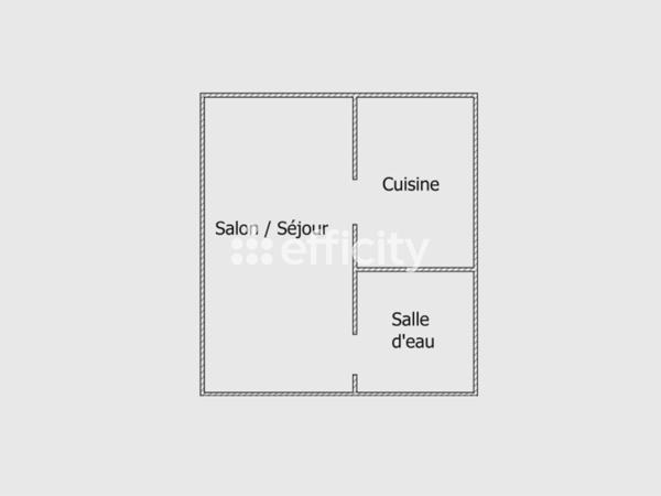Appartement 1 pièce - 29 m² Exclusivité efficity