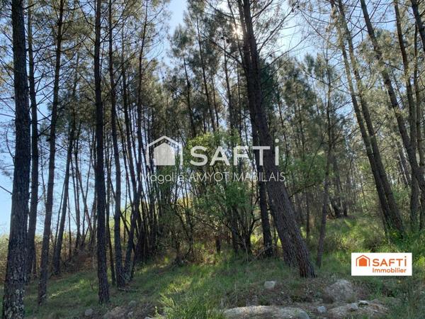 Etang majestueux avec 2 maisons à rénover sur 26ha !