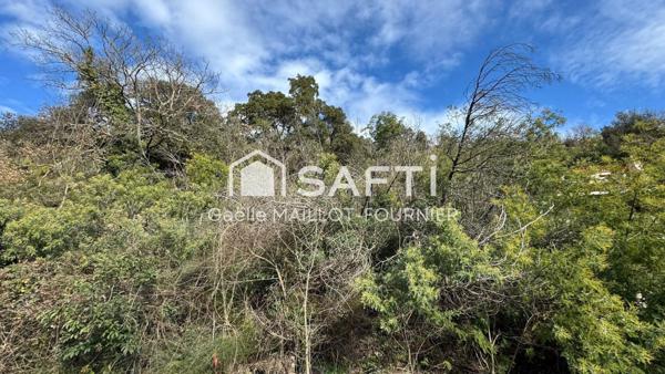 Grand terrain à bâtir avec forêt.