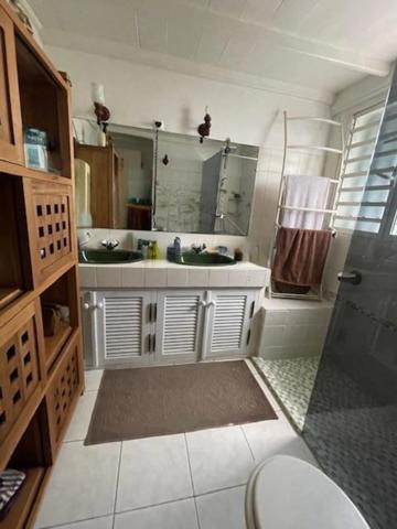 Villa et dépendances, piscine, à vendre 10 pièces BAIE MAHAULT (971)
