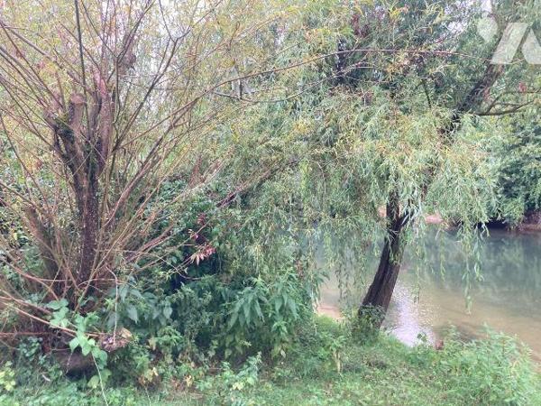 TERRAIN DE LOISIRS EN BORD DE SEINE  de 3330m² à vendre à Chappes (10260) en Aube (10), derrièr...