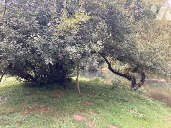 TERRAIN DE LOISIRS EN BORD DE SEINE  de 3330m² à vendre à Chappes (10260) en Aube (10), derrièr...