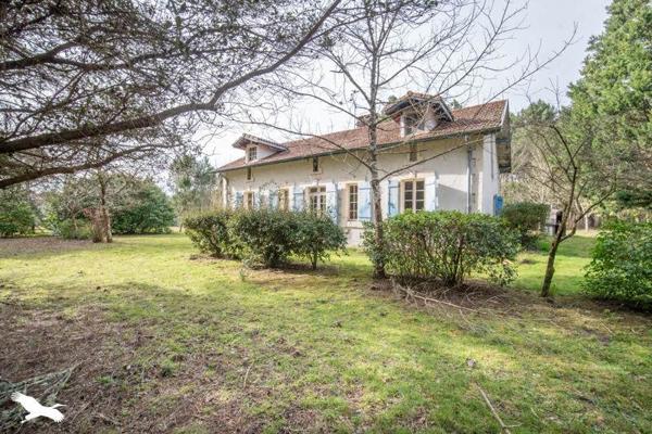 Maison à vendre |  Linxe |  6 pièces | 160 m²