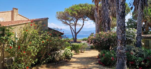 Maison pied dans l'eau