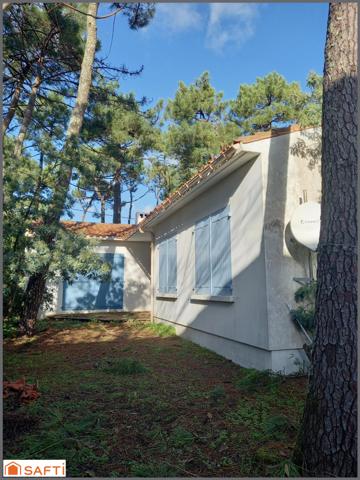 rare sur le secteur, à quelques métres de l'océan!