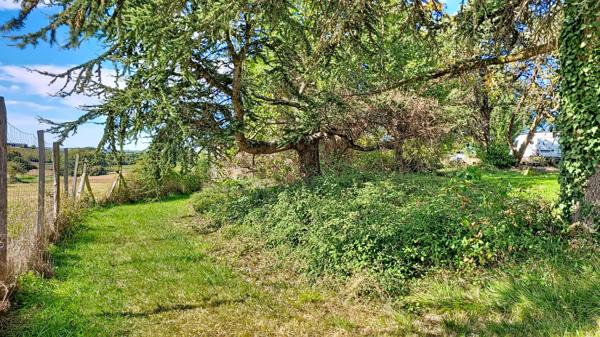 A vendre a Feugarolles Maison en pierre avec pension canine, dépendances et terrain