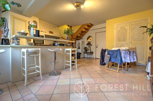 Céret (66400) Appartement T3 Duplex centre ville