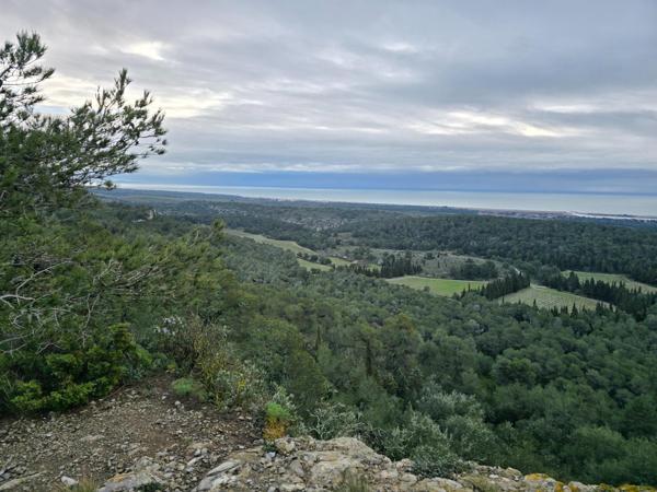 terrain plat accessible en bords de route et au bords de la rivière l'Aude