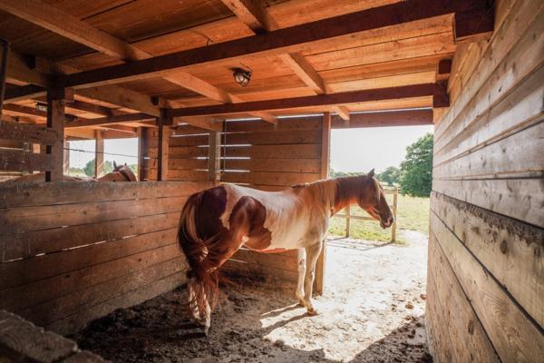 Maison à vendre 8 pièces proche de VONNAS (01)
