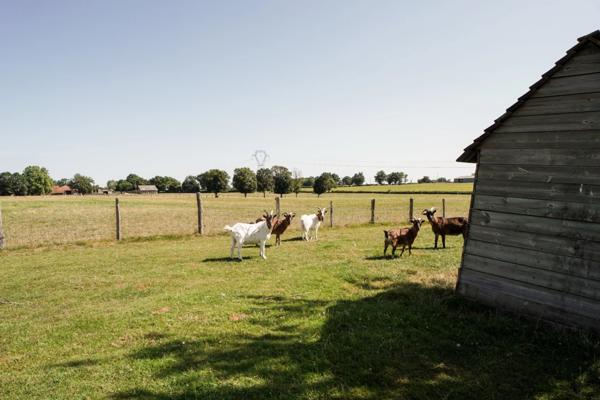 Maison à vendre 8 pièces proche de VONNAS (01)