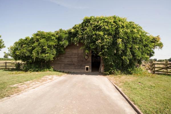 Maison à vendre 8 pièces proche de VONNAS (01)
