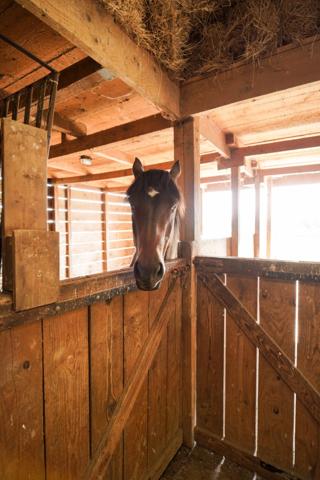 Maison à vendre 8 pièces proche de VONNAS (01)