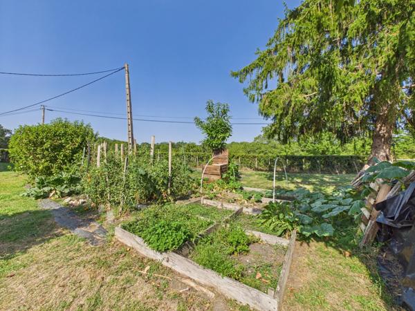 Une belle maison et une maison d'amis dans un cadre magnifique