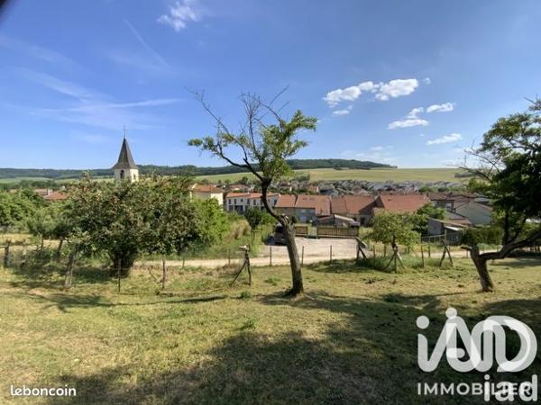 Terrain à vendre 595 m² Malleloy