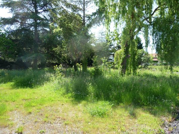 SAVIGNEUX proche de tout à pied TERRAIN 760 M² VIABILISE Savigneux (42600)