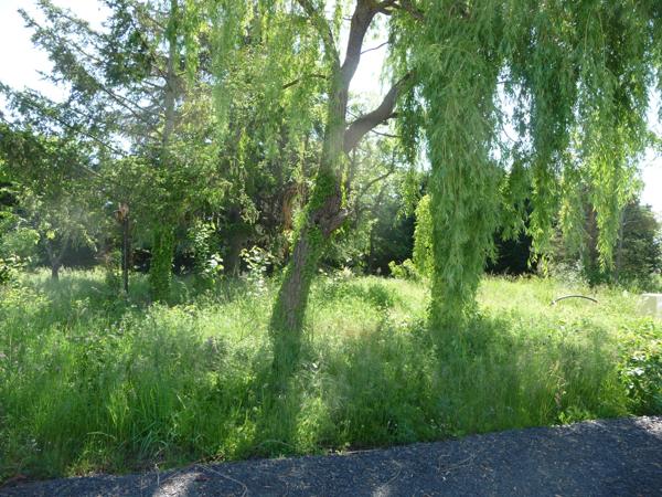 SAVIGNEUX proche de tout à pied TERRAIN 760 M² VIABILISE Savigneux (42600)