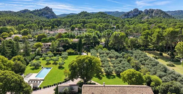 Mas contemporain avec piscine et champ de plus de 60 oliviers à Saint-Rémy-de-Provence