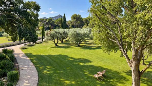 Mas contemporain avec piscine et champ de plus de 60 oliviers à Saint-Rémy-de-Provence