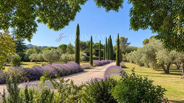 Mas contemporain avec piscine et champ de plus de 60 oliviers à Saint-Rémy-de-Provence