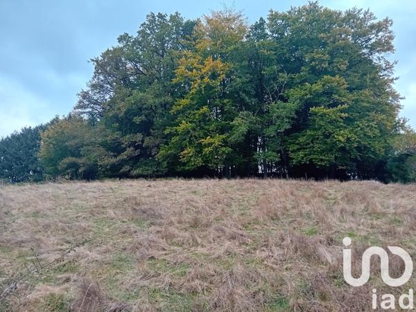 Terrain à vendre 1 786 m² Lafeuillade-en-Vézie