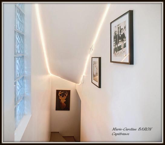 Propriete à vendre 15 pièces proche de CHATILLON SUR INDREDRE (36)