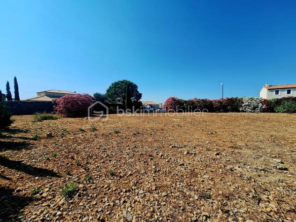 Terrain de 1 015 m²