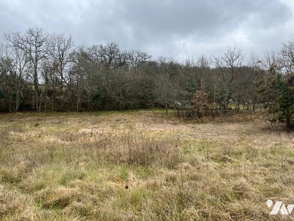 Grand terrain à bâtir - Béduer