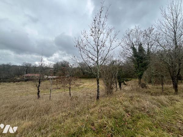 Grand terrain à bâtir - Béduer