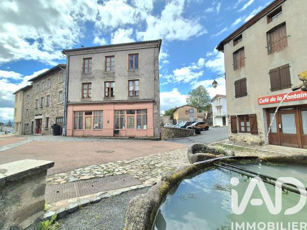 Maison à vendre 8 pièces 355 m² Saint-Just-en-Chevalet