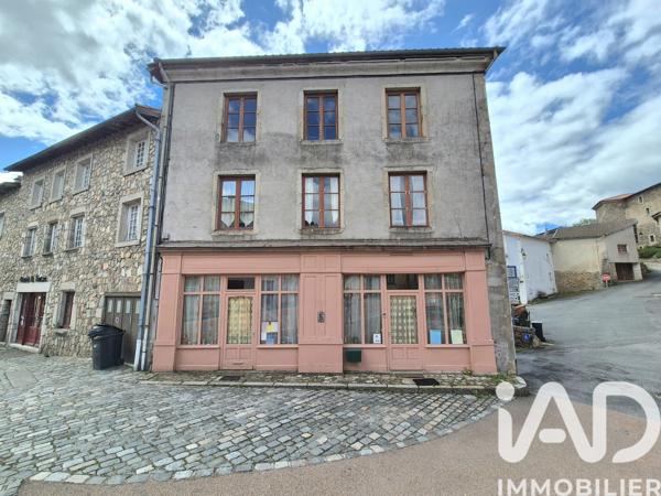 Maison à vendre 8 pièces 355 m² Saint-Just-en-Chevalet