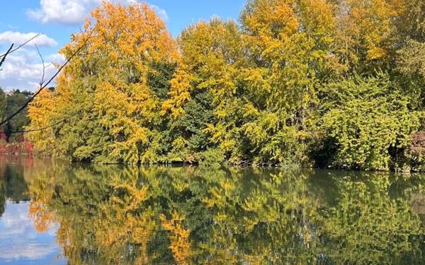 Maison à vendre    4 pièces • 101,40 m2 La Varenne - Saint-Maur-des-Fossés