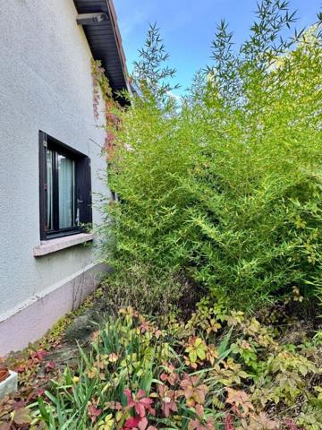 Maison Chassieu 5 pièces 109 m2