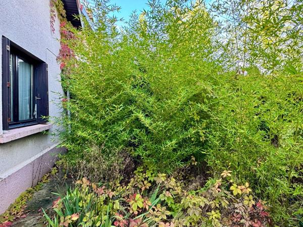 Maison Chassieu 5 pièces 109 m2