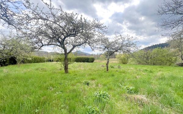 Terrain à vendre    Bourg-Bruche